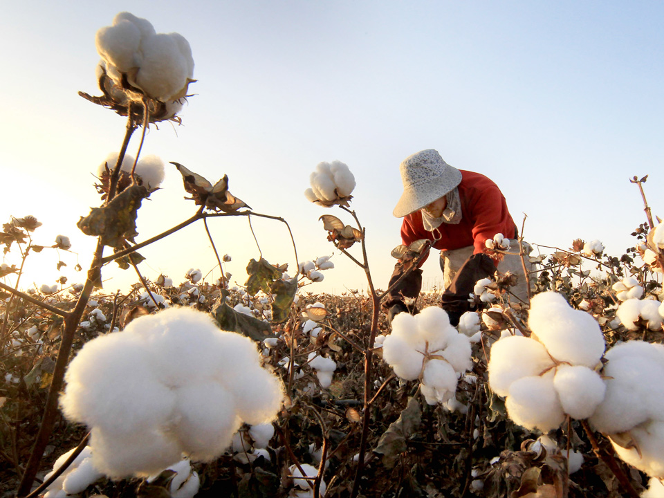 實(shí)力廠(chǎng)商